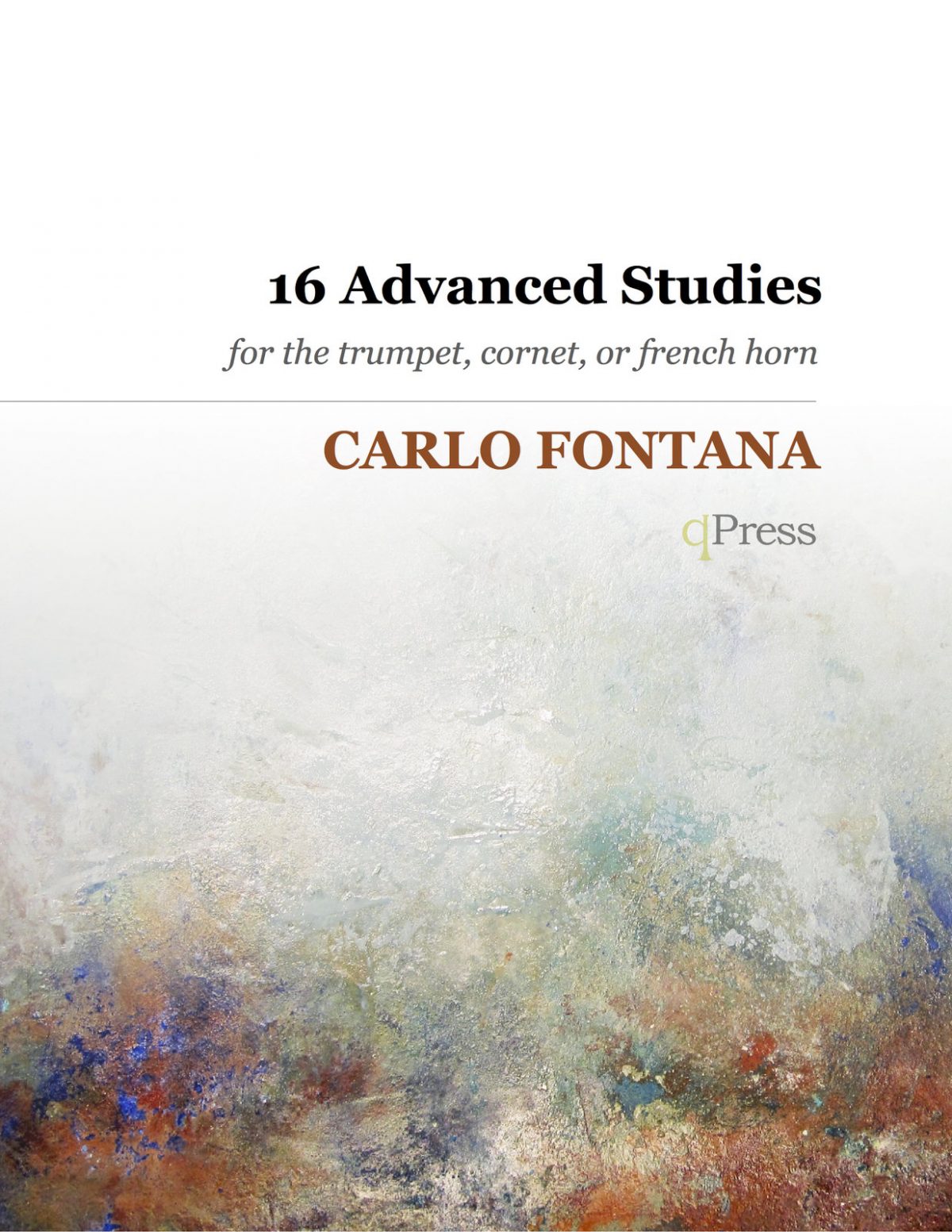 fontana-carlo-16-advanced-studies-1