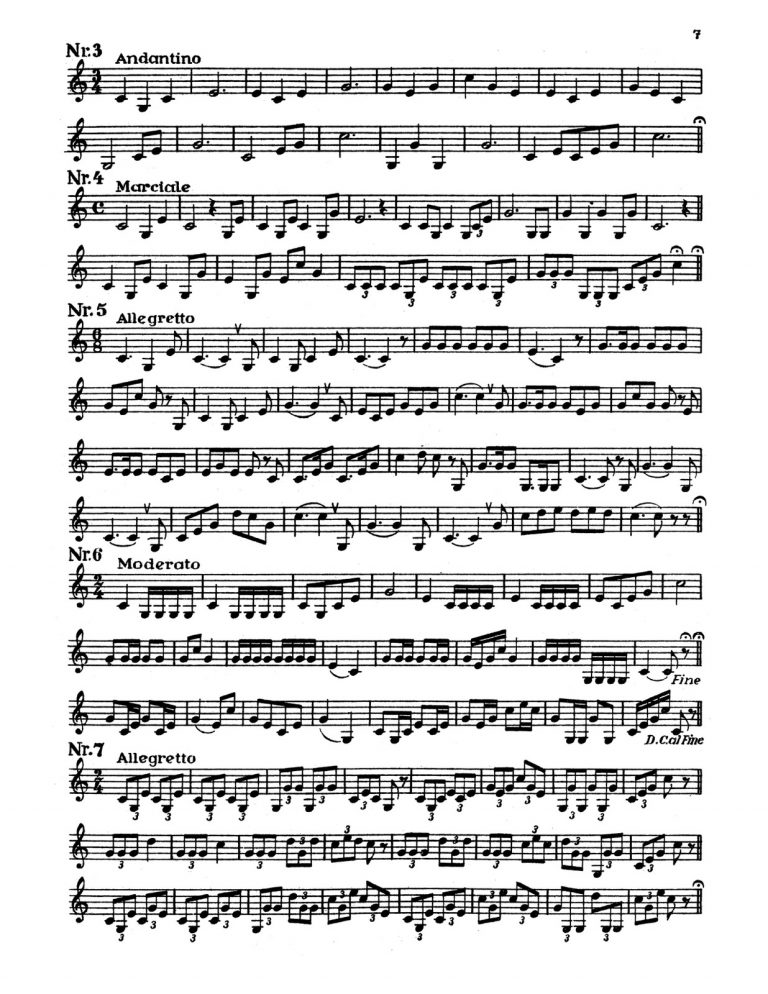 Stegmann, The Orchestra Trumpeter-p07