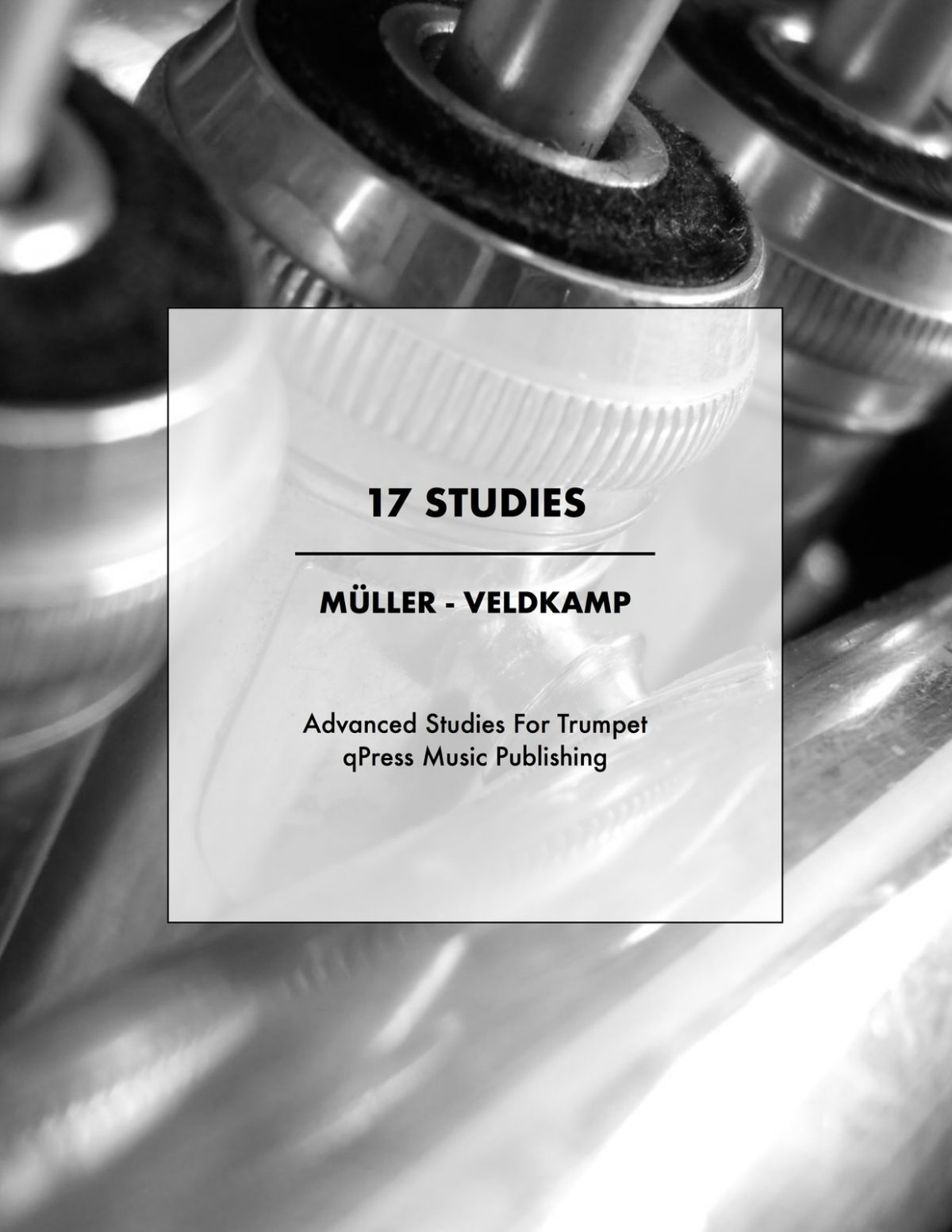 Veldkamp-Muller, 17 Studies-p01