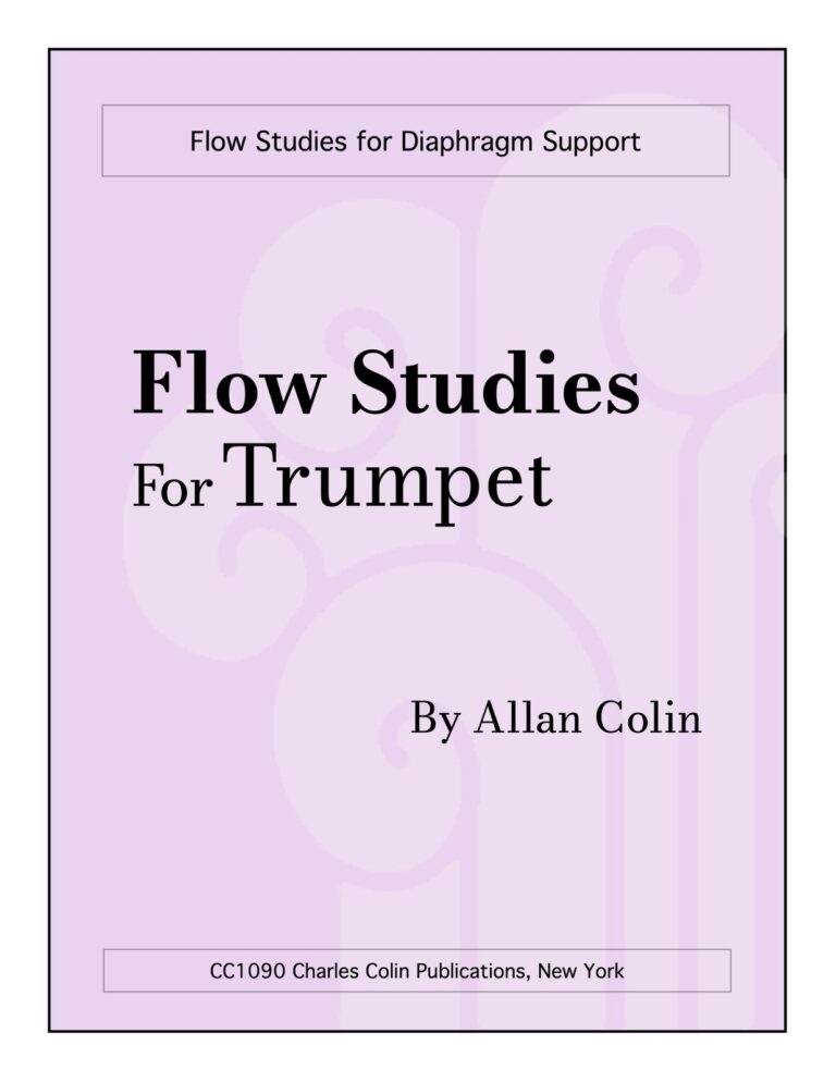 Flow Studies for Diaphragm Support
