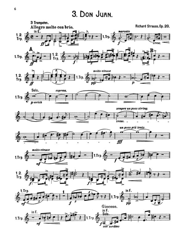 Rossbach, Strauss Orchestral Studies-p08