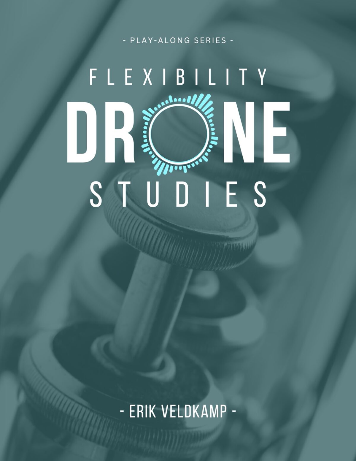 Veldkamp, Drone Flexibility Studies-p01