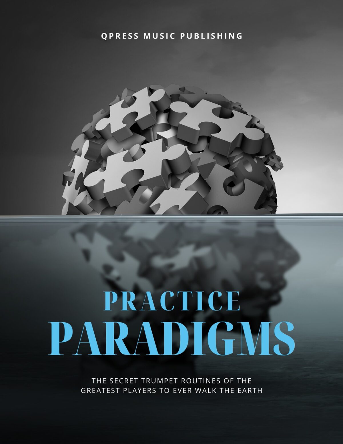Bundle, Practice Paradigms cover